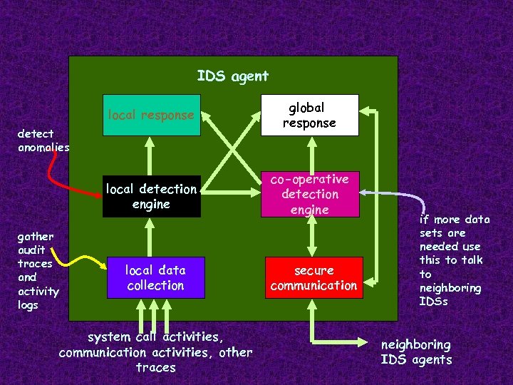 IDS agent local response global response local detection engine co-operative detection engine detect anomalies