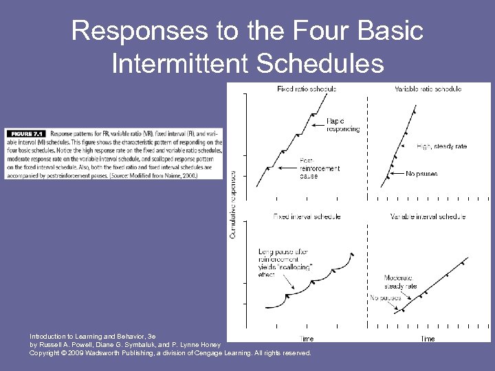 Responses to the Four Basic Intermittent Schedules Introduction to Learning and Behavior, 3 e