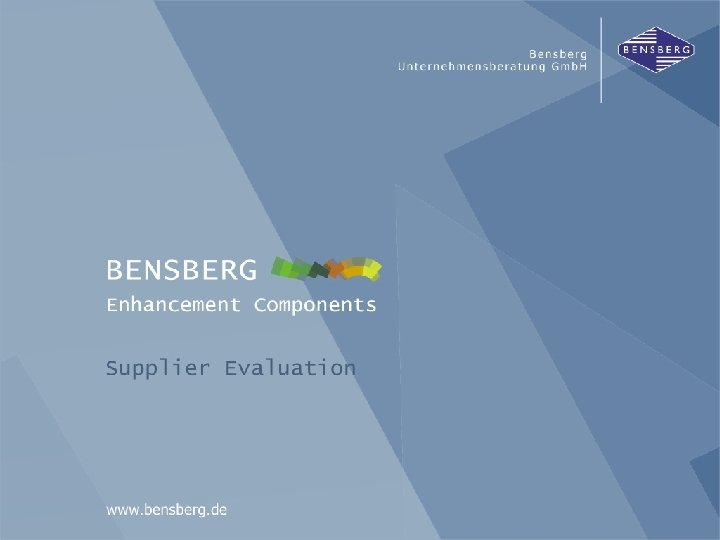 Supplier Evaluation Bensberg Gmb. H 
