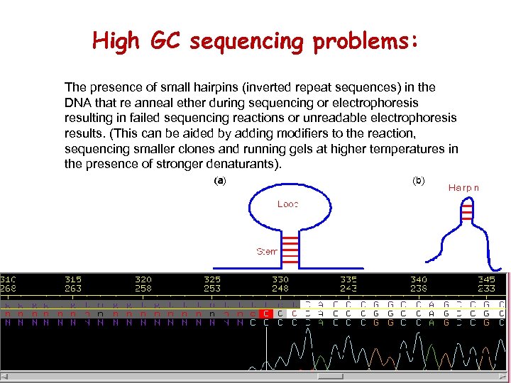 High GC sequencing problems: The presence of small hairpins (inverted repeat sequences) in the
