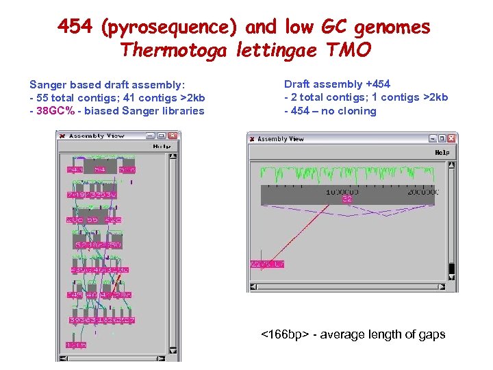 454 (pyrosequence) and low GC genomes Thermotoga lettingae TMO Sanger based draft assembly: -