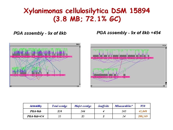 Xylanimonas cellulosilytica DSM 15894 454 and High GC projects (3. 8 MB; 72. 1%