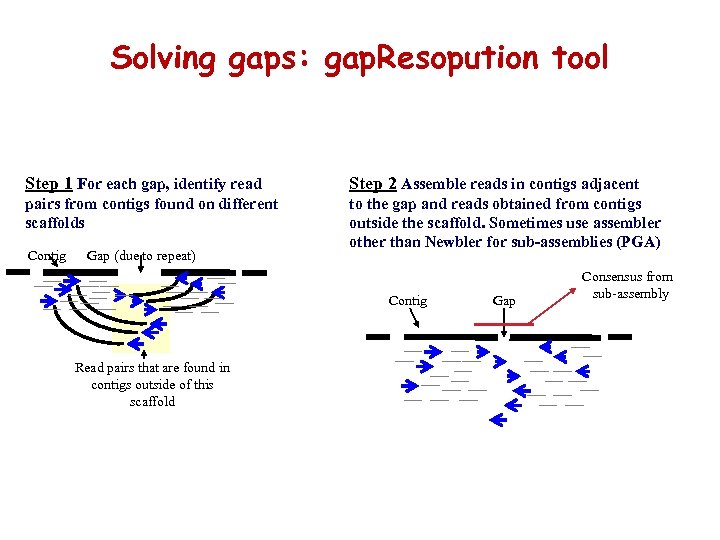 Solving gaps: gap. Resopution tool Step 1 For each gap, identify read Step 2
