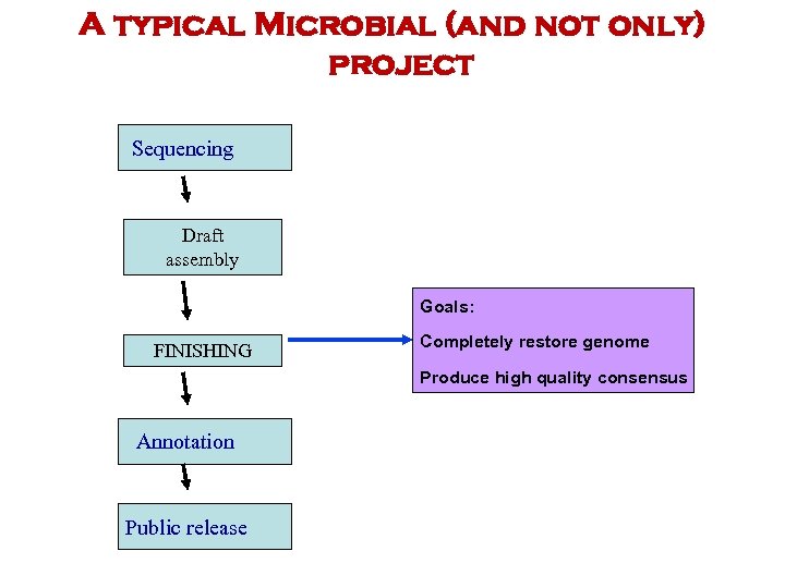 A typical Microbial (and not only) project Sequencing Draft assembly Goals: FINISHING Completely restore