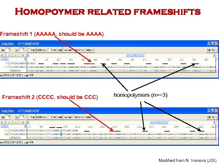 Homopoymer related frameshifts Frameshift 1 (AAAAA, should be AAAA) Frameshift 2 (CCCC, should be