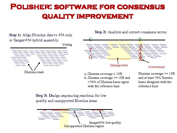 Polisher: software for consensus quality improvement Step 1: Align Illumina data to 454 -only