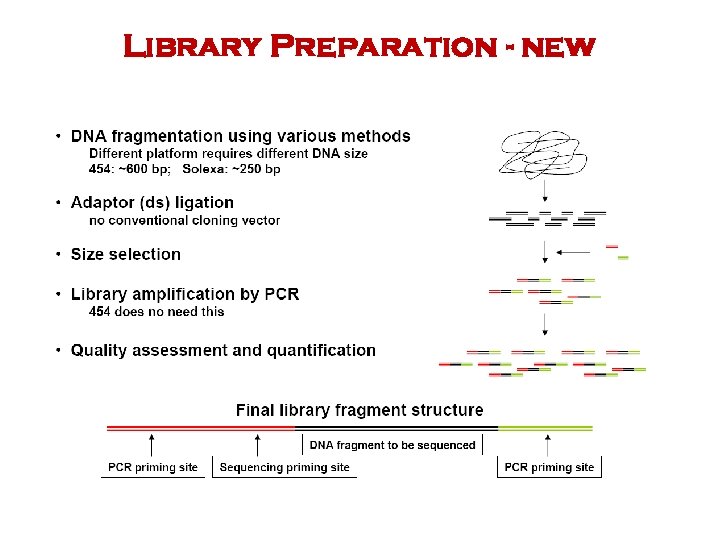 Library Preparation - new 