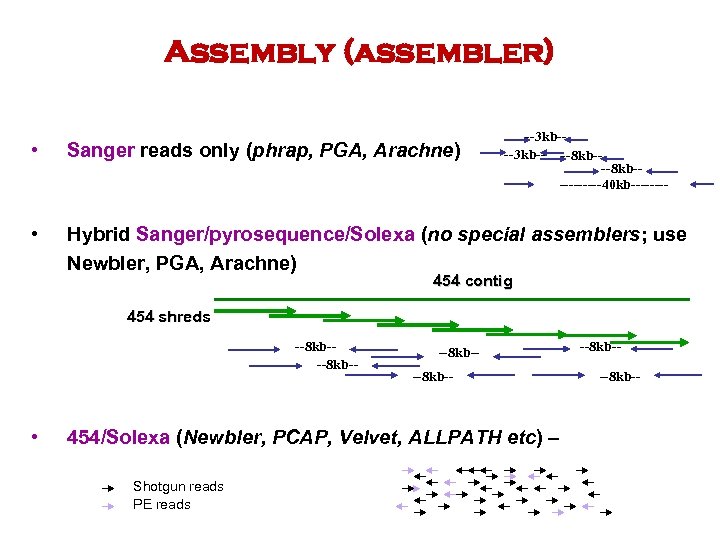 Assembly (assembler) --3 kb-- --8 kb------40 kb---- • Sanger reads only (phrap, PGA, Arachne)