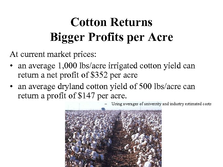 Cotton Returns Bigger Profits per Acre At current market prices: • an average 1,