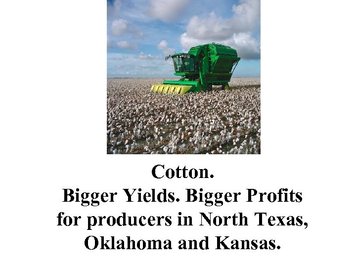 Cotton. Bigger Yields. Bigger Profits for producers in North Texas, Oklahoma and Kansas. 