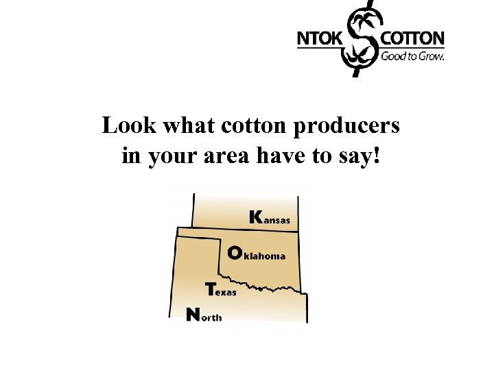 Look what cotton producers in your area have to say! 