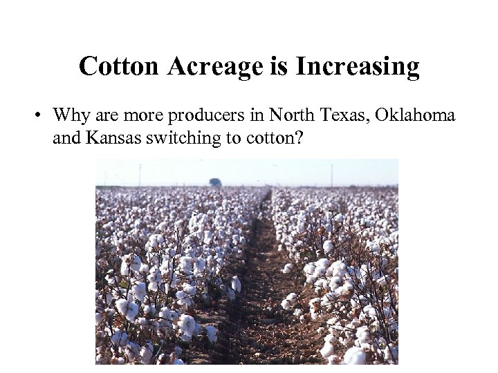 Cotton Acreage is Increasing • Why are more producers in North Texas, Oklahoma and