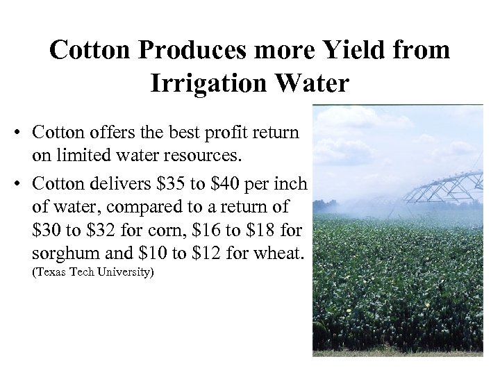 Cotton Produces more Yield from Irrigation Water • Cotton offers the best profit return