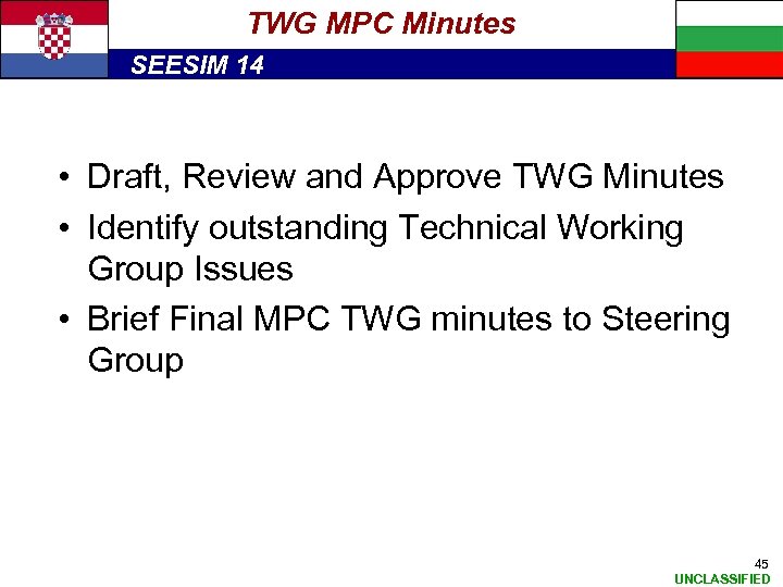 TWG MPC Minutes SEESIM 14 • Draft, Review and Approve TWG Minutes • Identify
