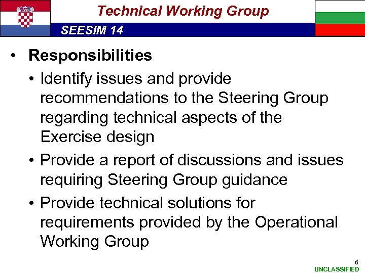 Technical Working Group SEESIM 14 • Responsibilities • Identify issues and provide recommendations to