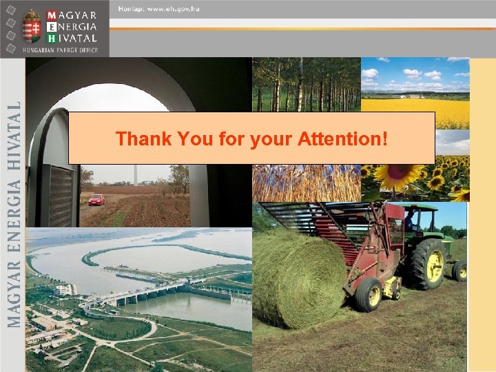 Thank You for your Attention! 