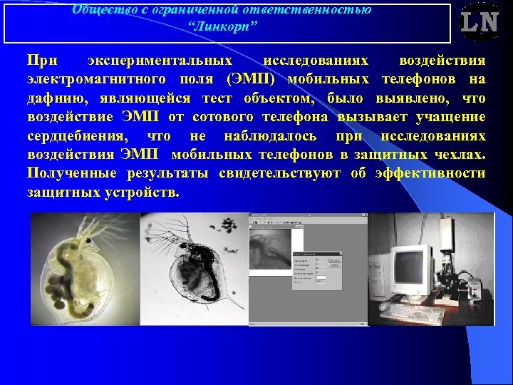 Общество с ограниченной ответственностью “Линкорп” При экспериментальных исследованиях воздействия электромагнитного поля (ЭМП) мобильных телефонов