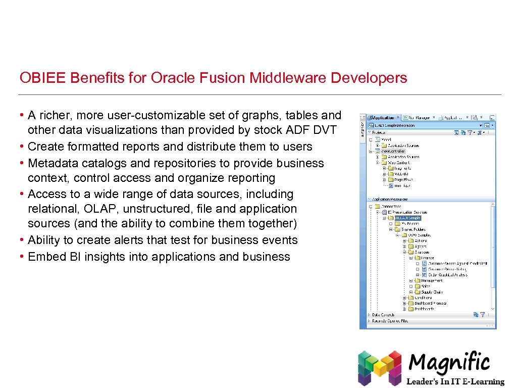 OBIEE Benefits for Oracle Fusion Middleware Developers • A richer, more user-customizable set of