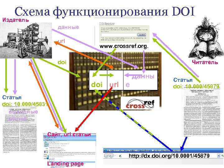 Схема функционирования DOI Издатель данные url www. crossref. org. Читатель doi данны doi url