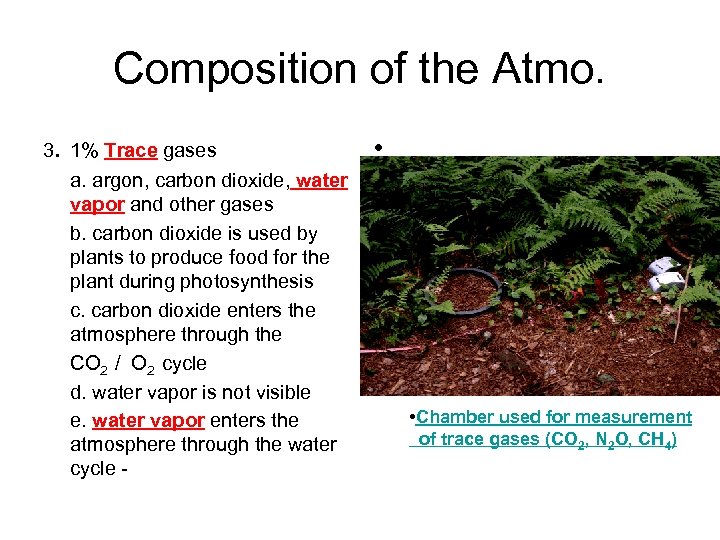Composition of the Atmo. 3. 1% Trace gases a. argon, carbon dioxide, water vapor