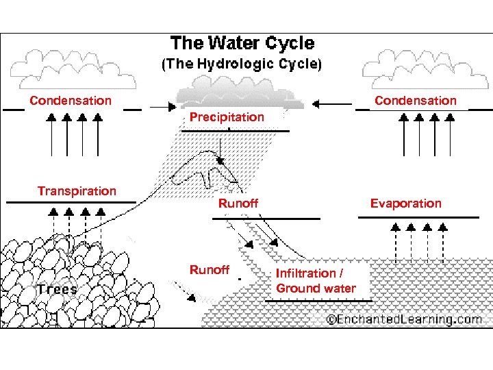 Condensation Precipitation Transpiration Runoff Evaporation Infiltration / Ground water 