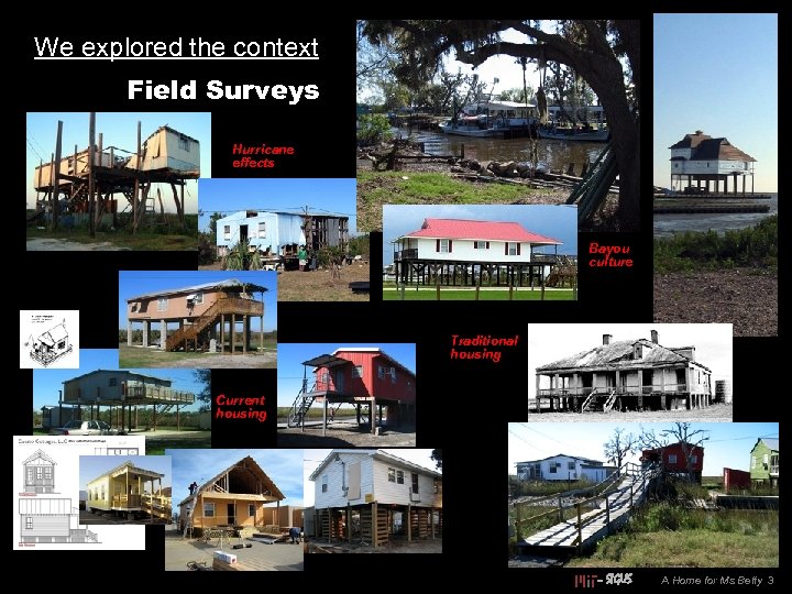 We explored the context Field Surveys Hurricane effects Bayou culture Traditional housing Current housing