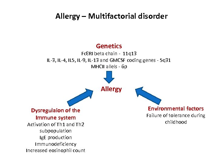 Allergy – Multifactorial disorder Genetics FcƐRI beta chain - 11 q 13 IL-3, IL-4,