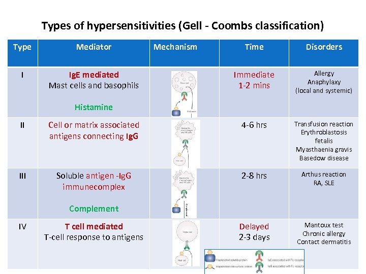 Types of hypersensitivities (Gell - Coombs classification) Type Mediator I Ig. E mediated Mast