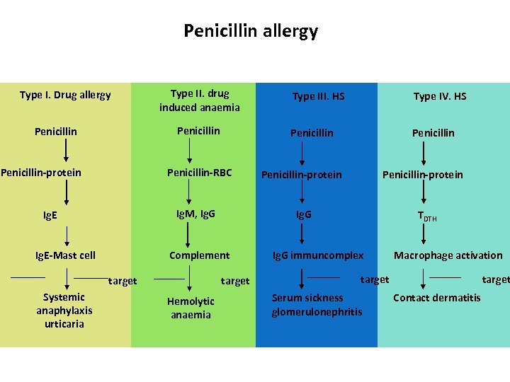 Penicillin allergy Type I. Drug allergy Type II. drug induced anaemia Penicillin-protein Penicillin-RBC Ig.