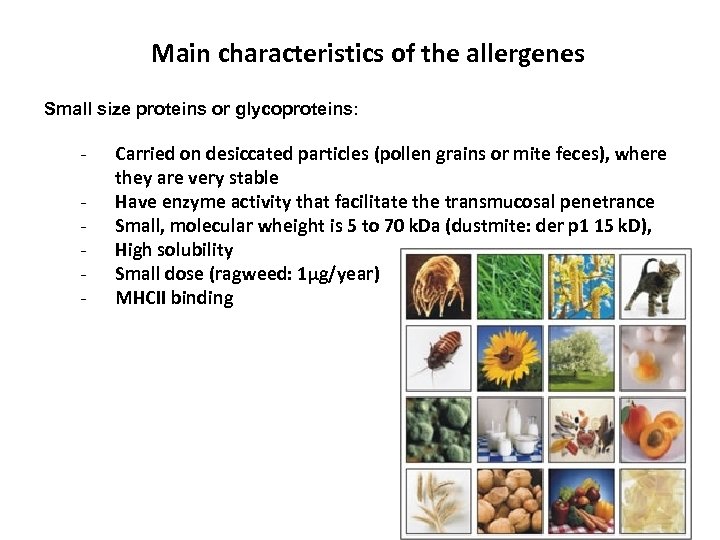 Main characteristics of the allergenes Small size proteins or glycoproteins: - Carried on desiccated