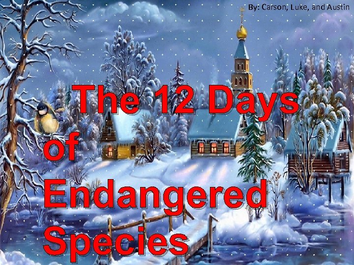 By: Carson, Luke, and Austin The 12 Days of Endangered Species 