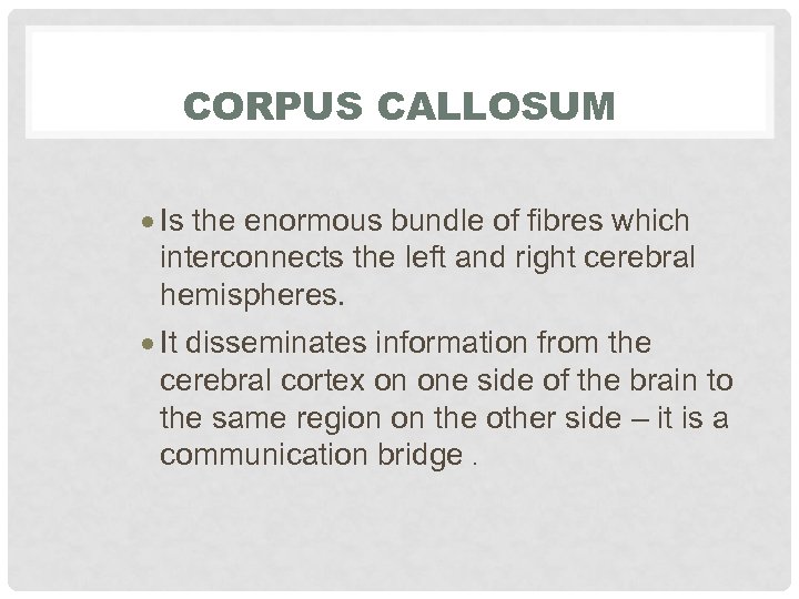 CORPUS CALLOSUM · Is the enormous bundle of fibres which interconnects the left and