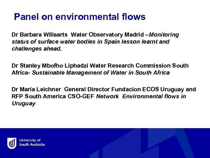  Panel on environmental flows Dr Barbara Willaarts Water Observatory Madrid –Monitoring status of