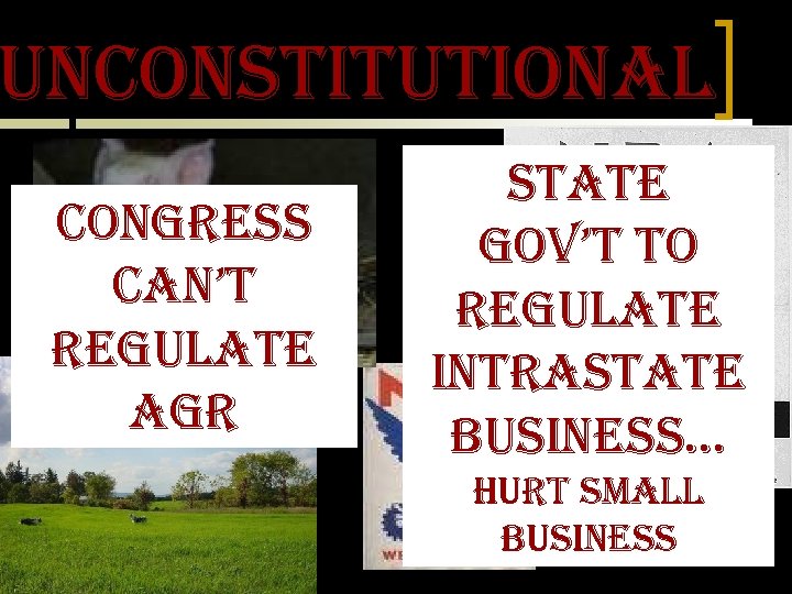 unconstitutional congress can’t regulate agr state gov’t to regulate intrastate business… hurt small business