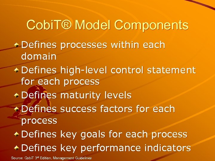 Cobi. T® Model Components Defines processes within each domain Defines high-level control statement for
