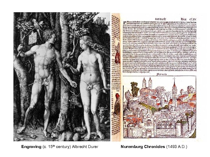 Engraving (c. 15 th century) Albrecht Durer x Nuremburg Chronicles (1493 A. D. )