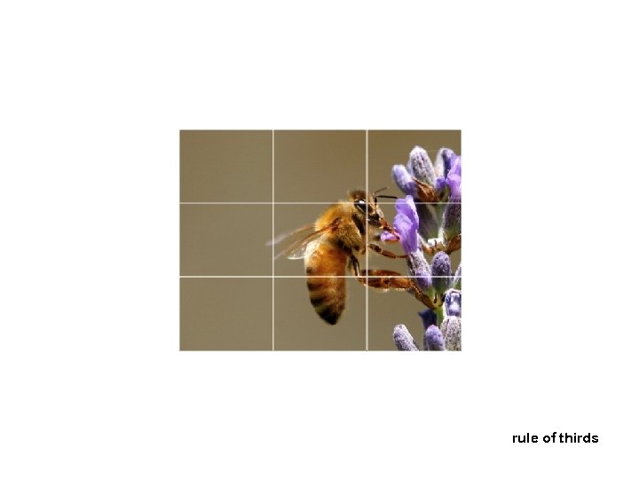 rule of thirds 