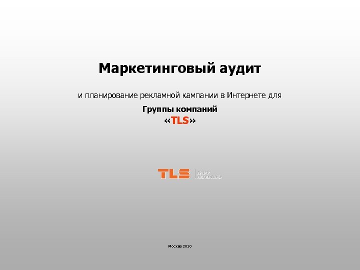 Маркетинговый аудит и планирование рекламной кампании в Интернете для Группы компаний «TLS» Москва 2010