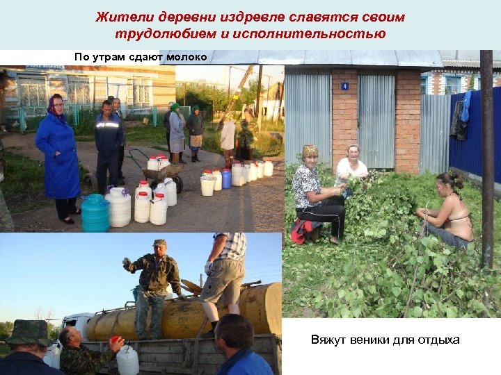 Жители деревни издревле славятся своим трудолюбием и исполнительностью По утрам сдают молоко Вяжут веники