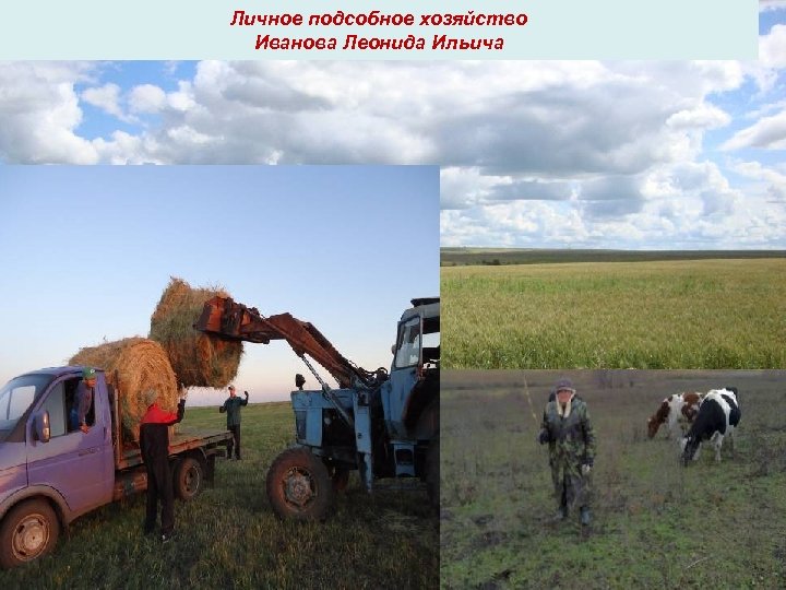 Личное подсобное хозяйство Иванова Леонида Ильича 