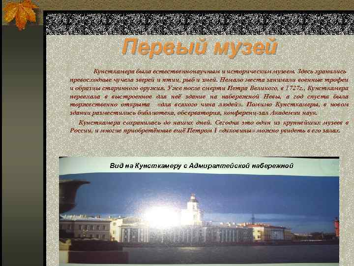 Первый музей Кунсткамера была естественнонаучным и историческим музеем. Здесь хранились превосходные чучела зверей и