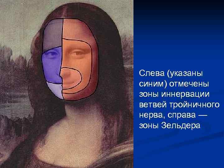 Слева (указаны синим) отмечены зоны иннервации ветвей тройничного нерва, справа — зоны Зельдера 