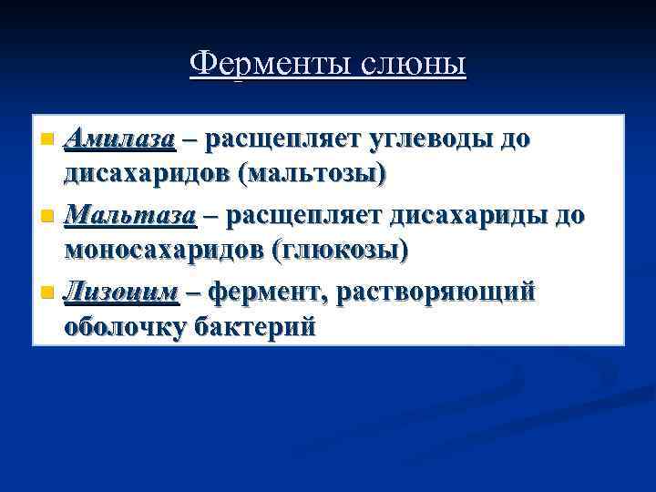 Ферменты слюны Амилаза – расщепляет углеводы до дисахаридов (мальтозы) n Мальтаза – расщепляет дисахариды