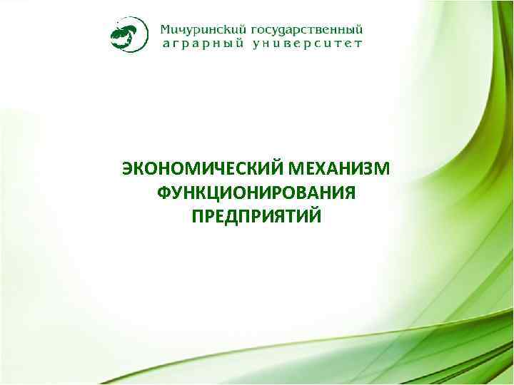 ЭКОНОМИЧЕСКИЙ МЕХАНИЗМ ФУНКЦИОНИРОВАНИЯ ПРЕДПРИЯТИЙ 