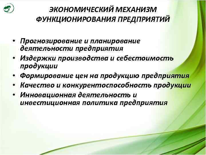 Механизм функционирования