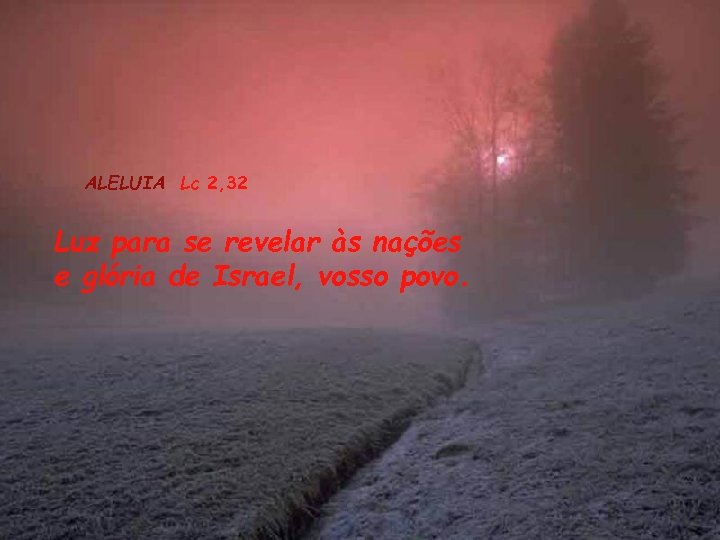 ALELUIA Lc 2, 32 Luz para se revelar às nações e glória de Israel,