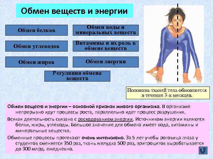 Обмен веществ и энергии Обмен белков Обмен воды и минеральных веществ Обмен углеводов Витамины