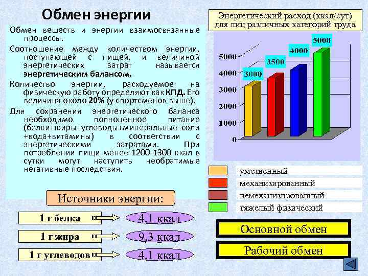 Обмен энергии Обмен веществ и энергии взаимосвязанные процессы. Соотношение между количеством энергии, поступающей с