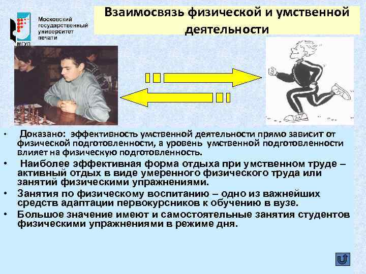 Взаимосвязь физической и умственной деятельности Доказано: эффективность умственной деятельности прямо зависит от физической подготовленности,