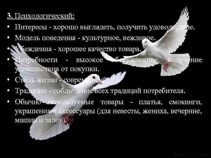 3. Психологический: • Интересы - хорошо выглядеть, получить удовольствие. • Модель поведения - культурное,